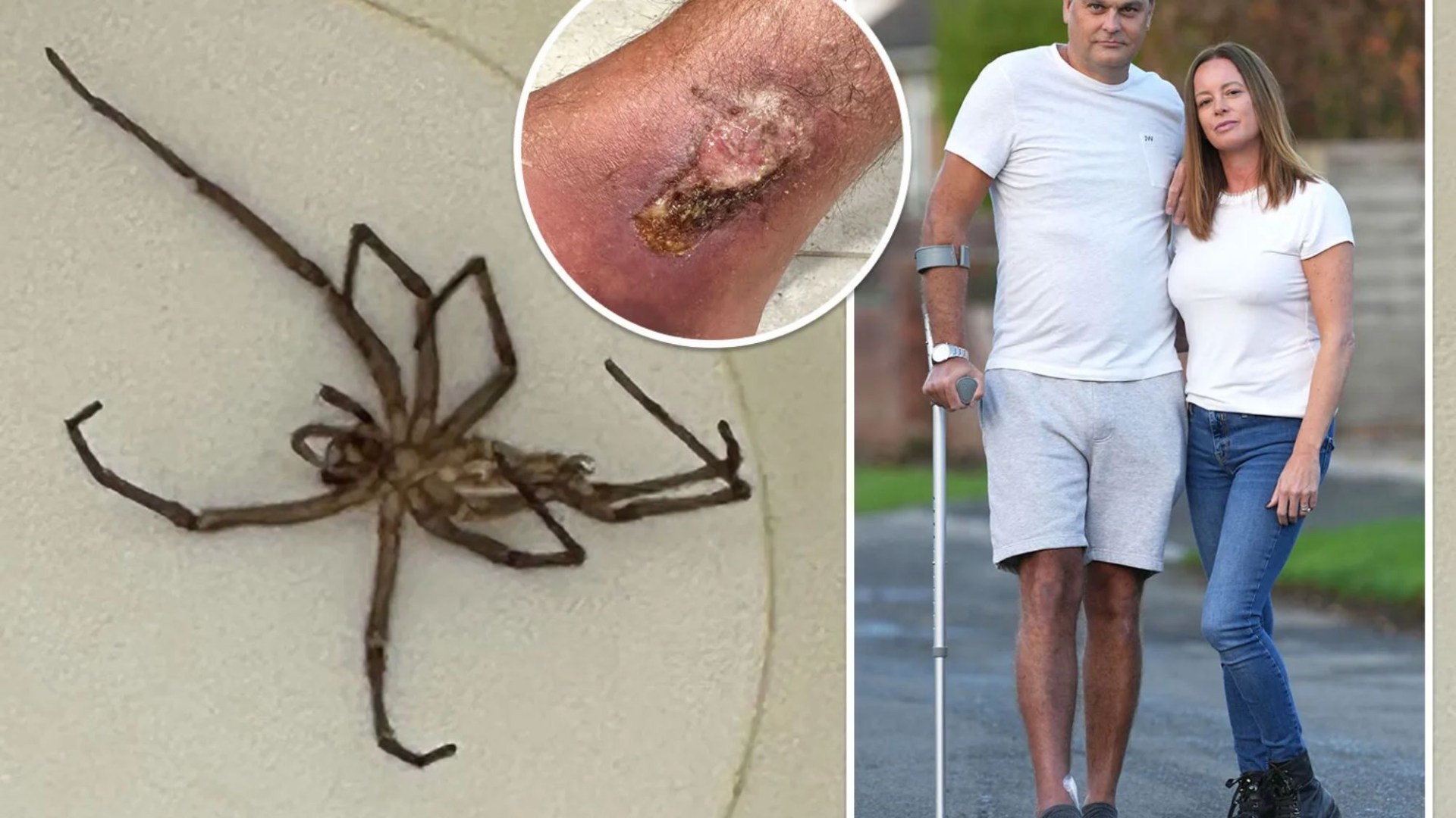 Couple rushed to hospital after spider stowed away in suitcase bites them after returning to UK from Med holiday hotspot