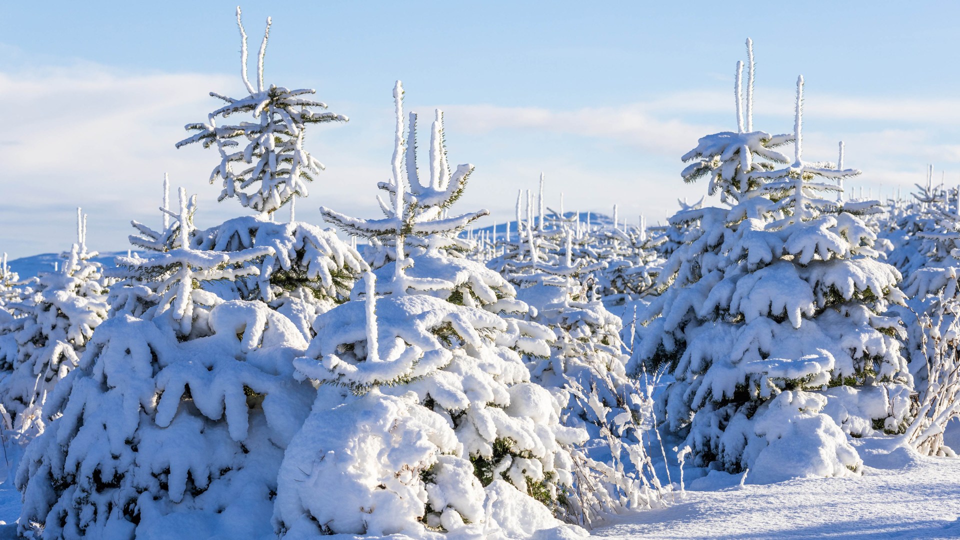 Tiny Scots town crowned 'most scenic' place for winter escape