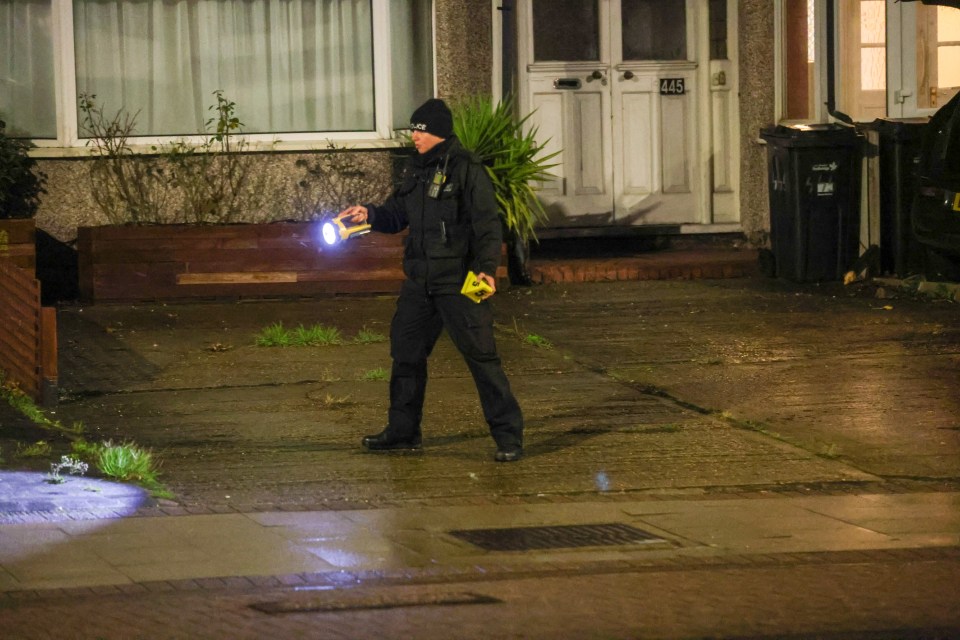 The incident unfolded on Eastern Avenue, Ilford at around 4.10pm on Saturday afternoon