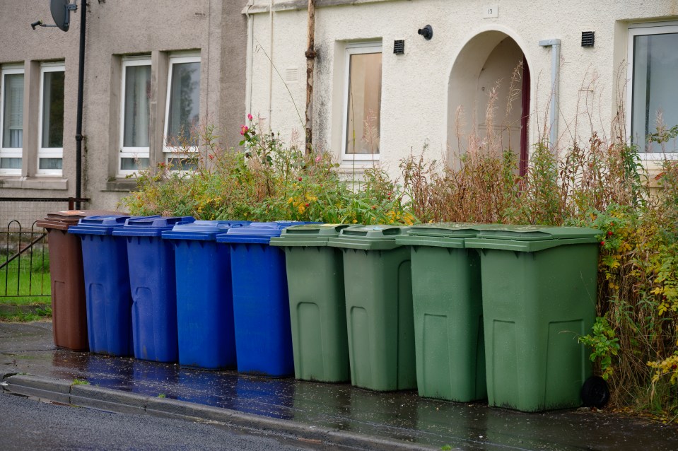 Punishments could also come down for people who leave their bins out too long