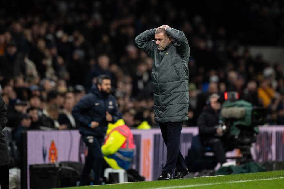 The Tottenham Hotspur boss is under pressure