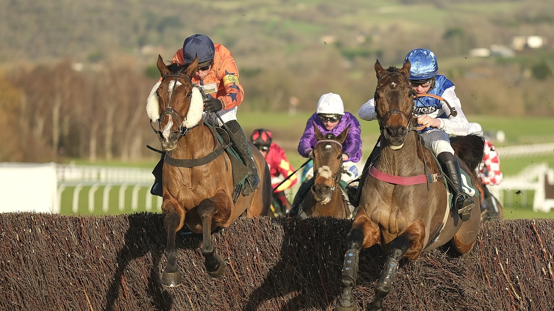 Dream season for Venetia Williams and Charlie Deutsch continues as Gemirande wins December Gold Cup at Cheltenham