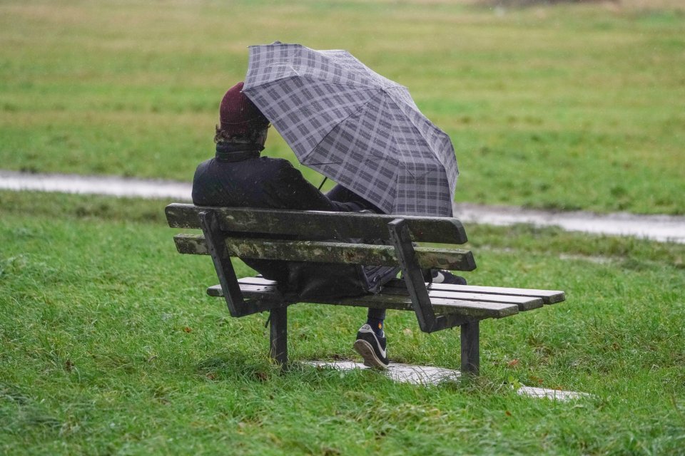 A man shelters under an umbrella from the rain and win on Wimbledon common