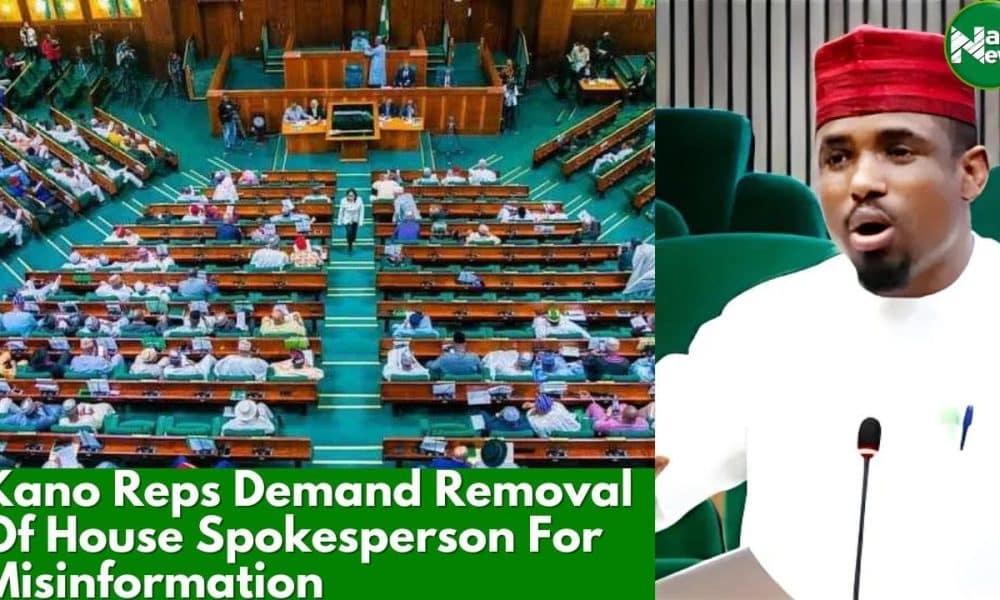 Tax Reform Bills: Kano Lawmaker Demands Removal Of House Of Representatives Spokesman