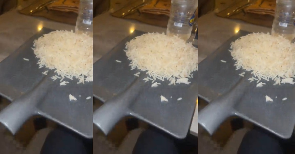 "When a bricklayer opens a restaurant" – Man gets served on 'shovel-like plate' at a fancy restaurant (VIDEO)