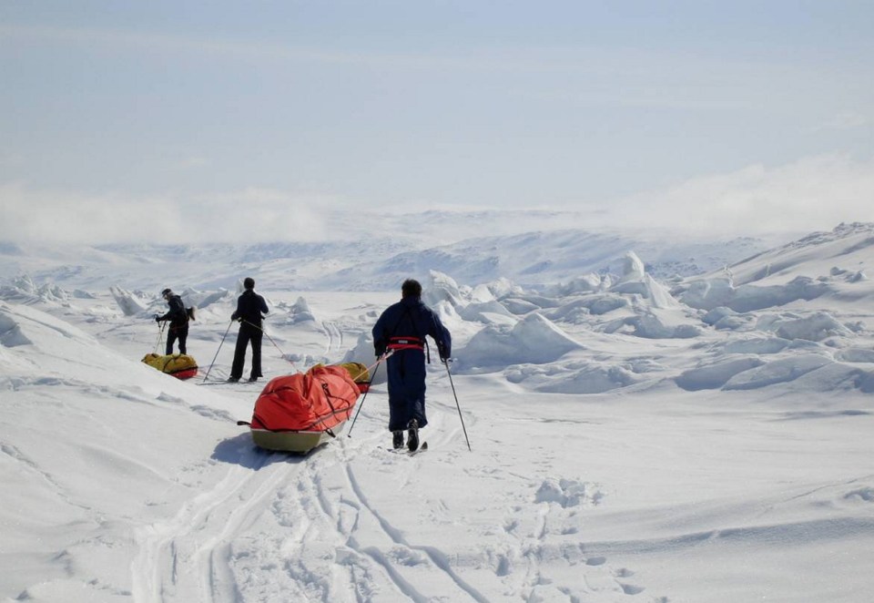 Revellers can fill up on seal, whale and reindeer