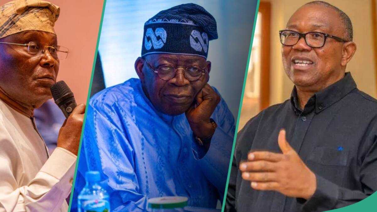 2027 Presidency: Did Atiku, Obi Agree to Form Alliance During Adamawa Breakfast? Aides Clarify