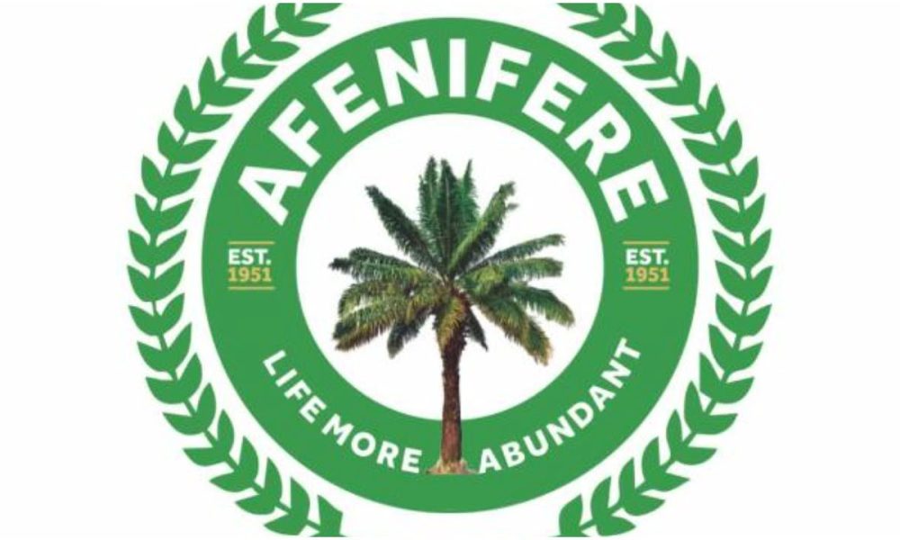 Tinubu Is Being Superficial, His Presidency Is Failing Nigerians - Afenifere