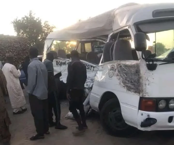 Borno Varsity Mourns As Dangote Truck Crushes Final-Year Student, One Other To Death