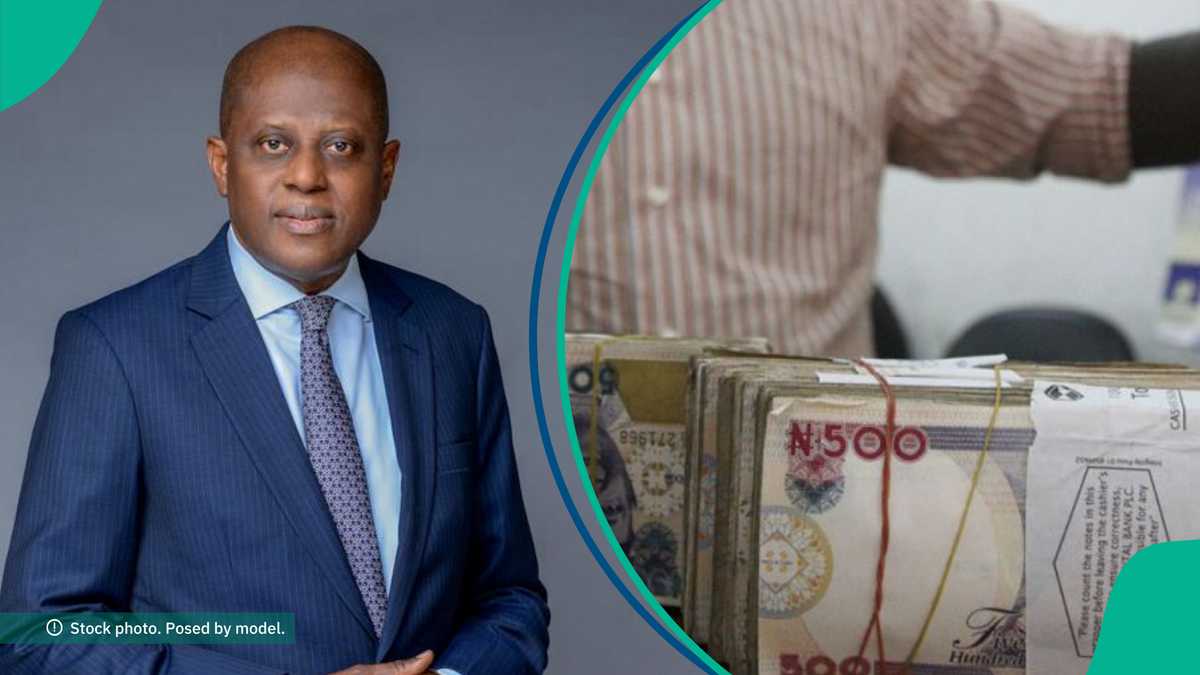 CBN Speaks on Companies’ Expectations of Naira in 2025