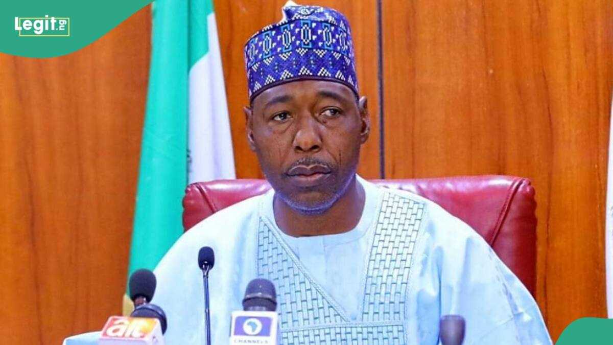 Gwamnatin Borno Ta Yi Sabuwar Hubbasa a Yunkurin Kawo Karshen 'Yan Ta'adda