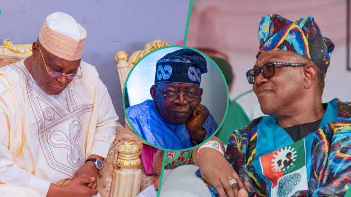 Hada Kan Atiku da Obi Kadai zai kawo karshen mulkin APC a 2027, Paul Ibe