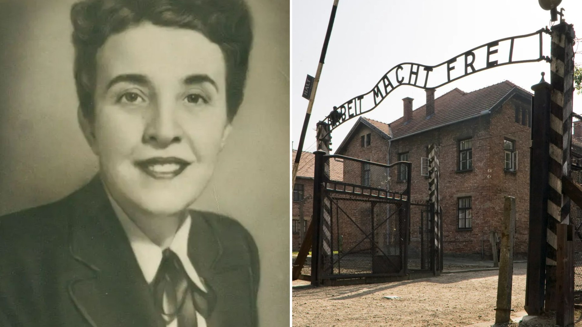 How heroic doc saved thousands of mums from 'Angel of Death’s' vile experiments at Auschwitz - but at a horrifying cost