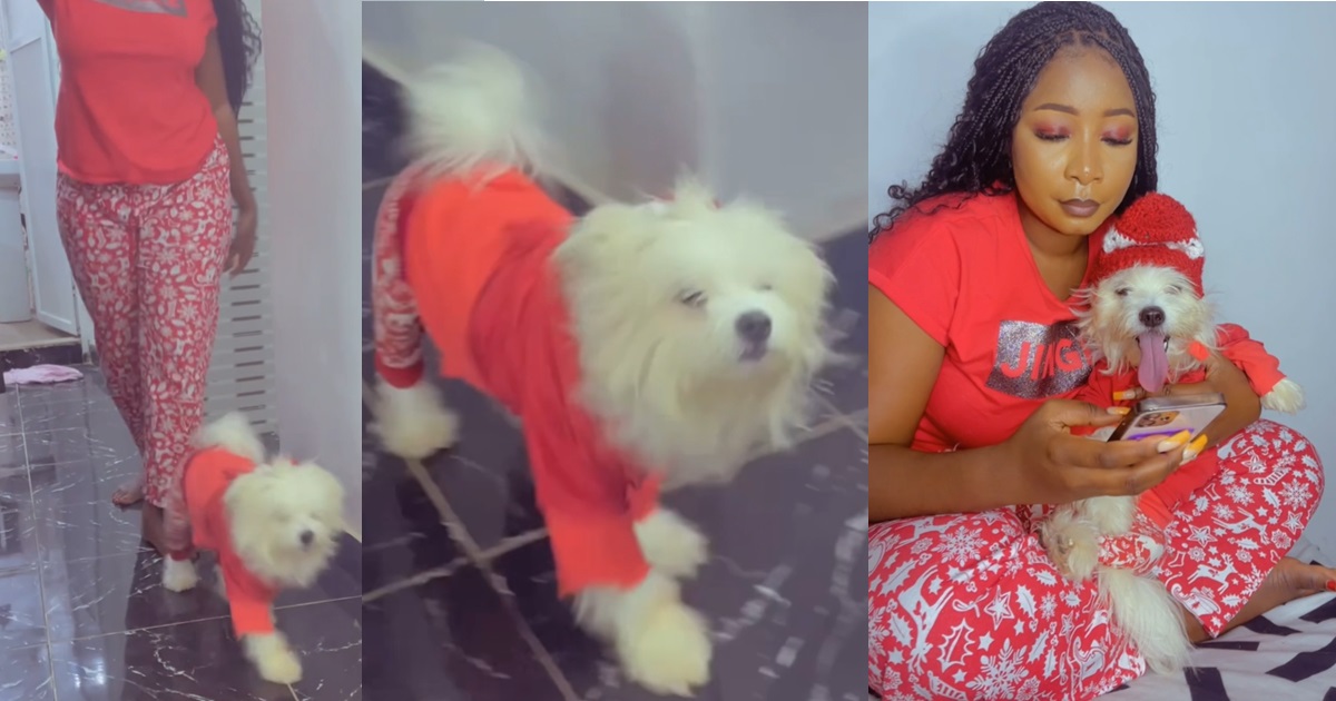 "It's giving" – Singles endorse update as lady sets new Christmas outfit trend with her dog (WATCH)