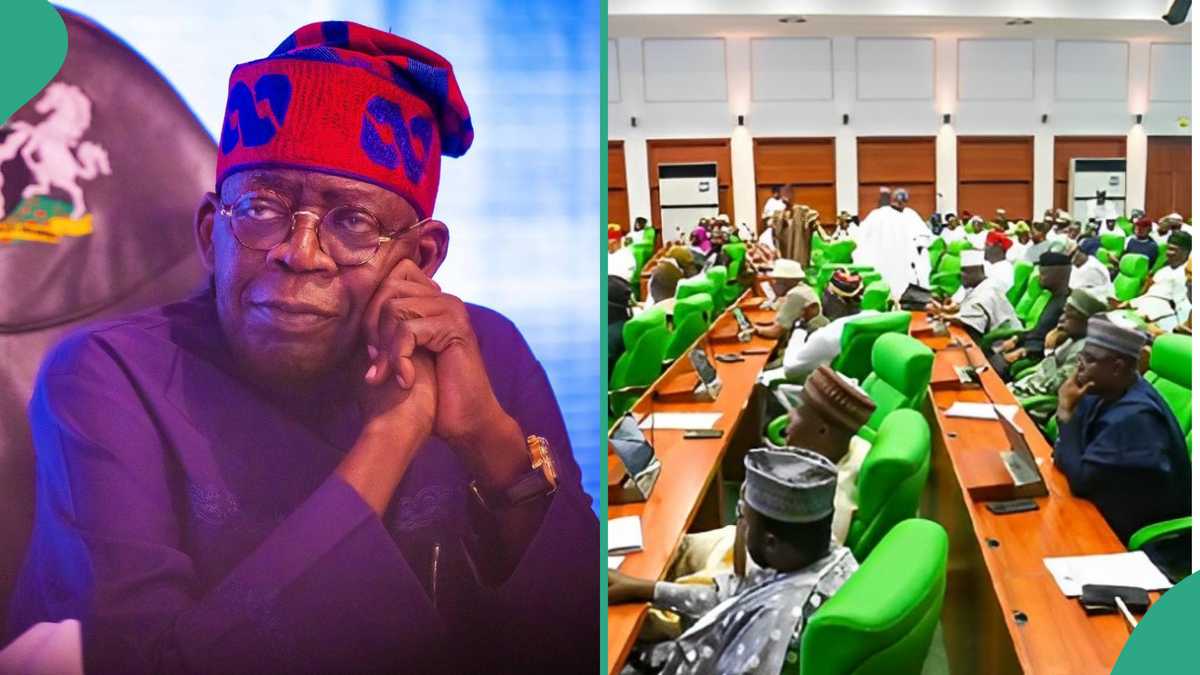 N-Power: Fire Guts NSIPA Warehouse As Reps Order Tinubu to Unfreeze Accounts