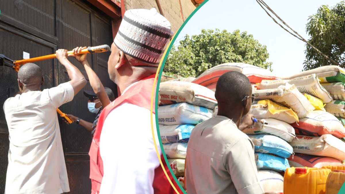 NAFDAC Seizes 1,600 Bags of Fake Rice, Shuts Down Factory in Nasarawa