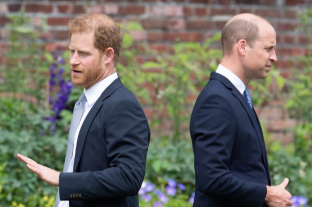 Princes Harry and William send separate messages to Diana Awards winners as charity marks 25th anniversary – The Scottish Sun