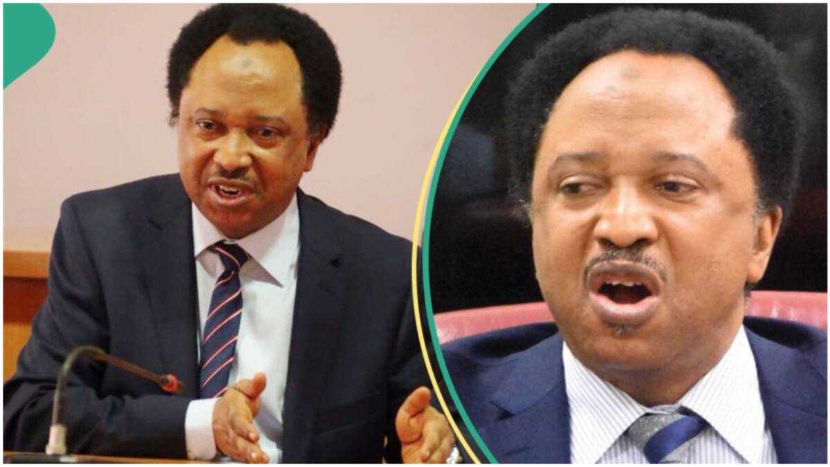 Shehu Sani Fires Northern Senators Over Tinubu's Tax Reform Bills: "They Just Ramble"