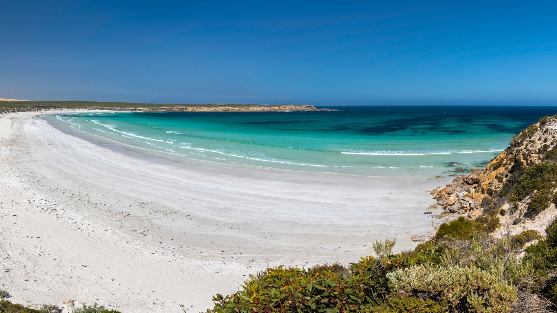 Desperate search launched for surfer, 28, missing after he was ‘attacked by shark’ as swimmers are banned from beach – The Scottish Sun