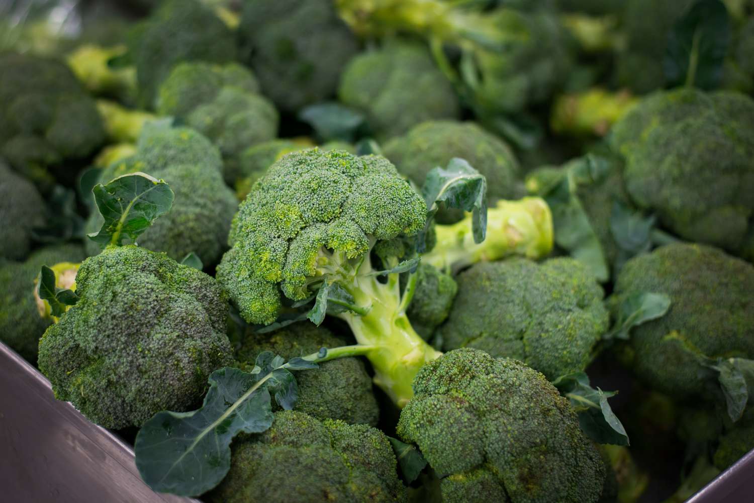 Broccoli Sold at Walmart in 20 States Recalled Over Listeria Concerns