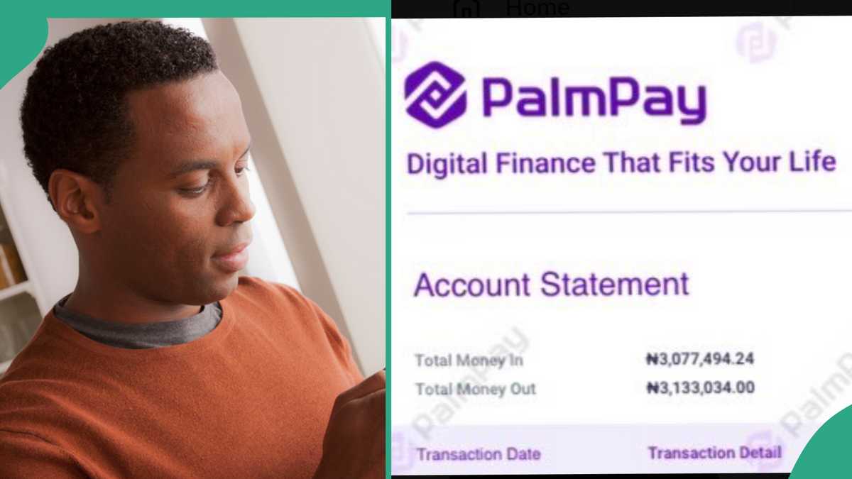 Palmpay Customer Who Made Over N3 Million in 2024 Shares Account Statement As Spends Over N3m