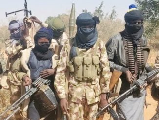 JTF thwarts ransom deal, neutralizes bandits in Zamfara forest