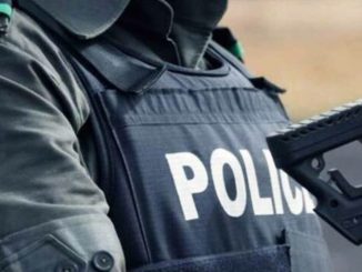 Adamawa police arrest two suspected kidnappers in Yola South, Demsa