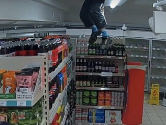 Moment idiot raider gets 'STUCK' lowering himself into Sainsbury's store in bungled Mission Impossible-style burglary